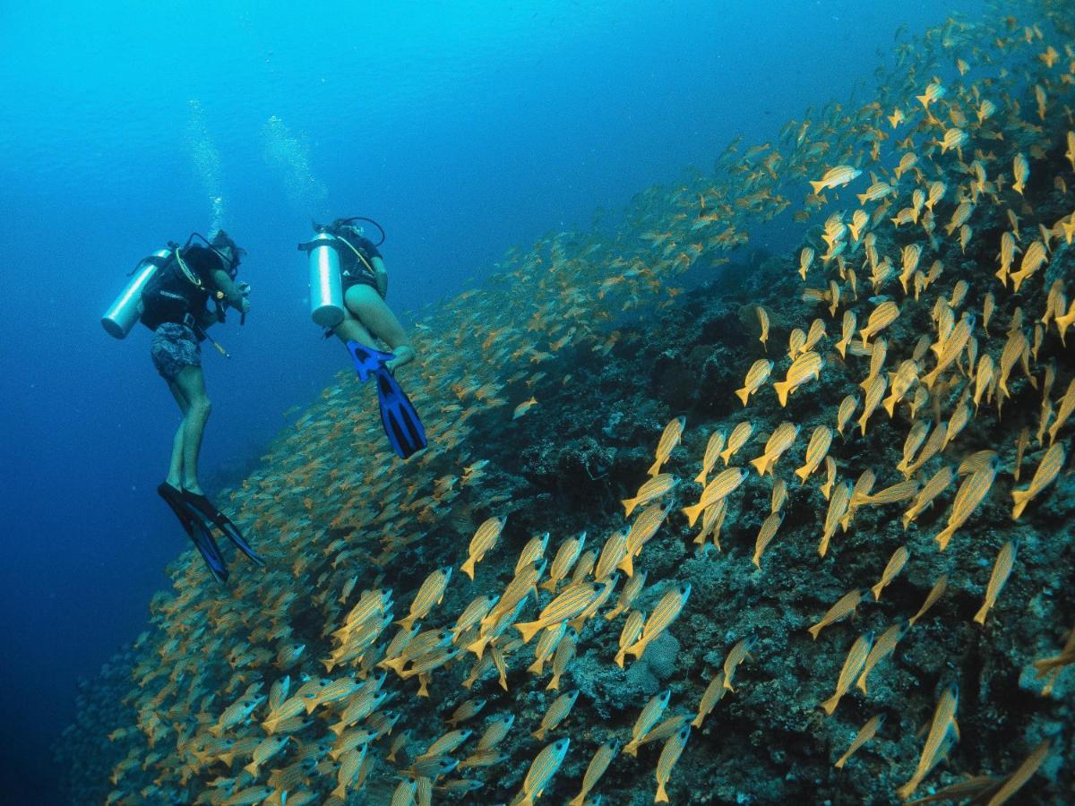 Отель Bliss Dhigurah Дигура Экстерьер фото