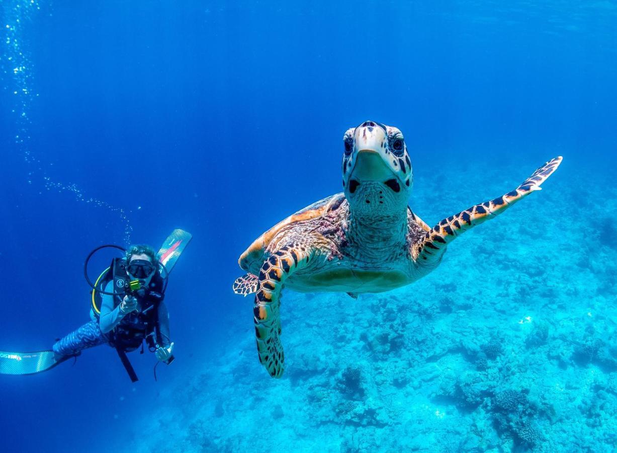 Отель Bliss Dhigurah Дигура Экстерьер фото