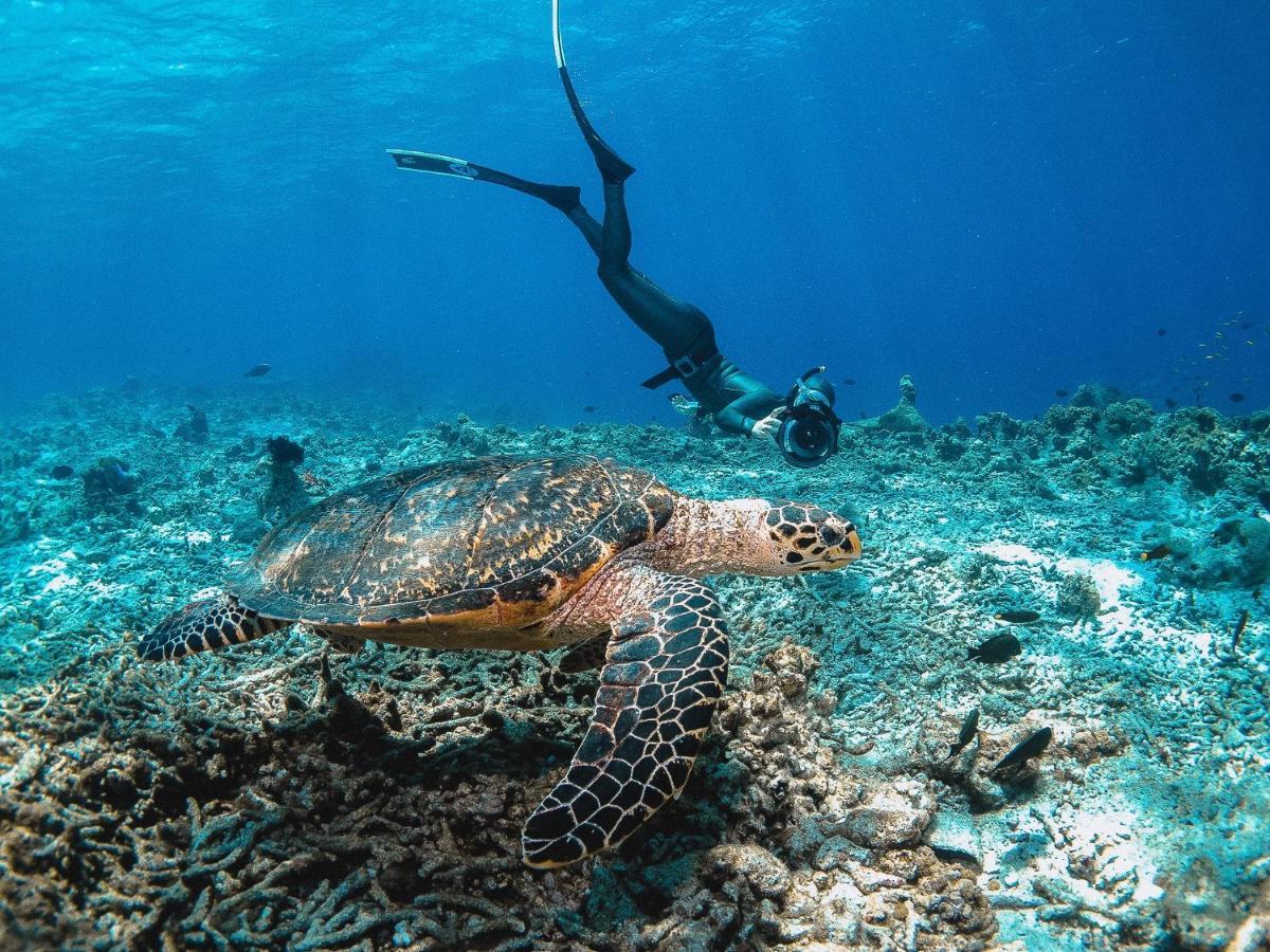 Отель Bliss Dhigurah Дигура Экстерьер фото